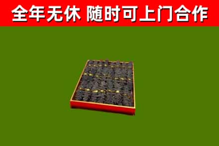 阳春回收海参